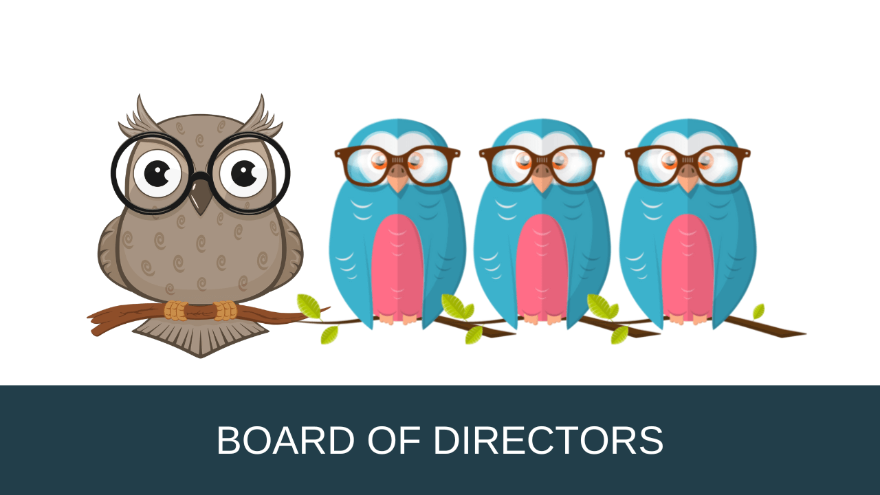 Board of Directors Team Owl 