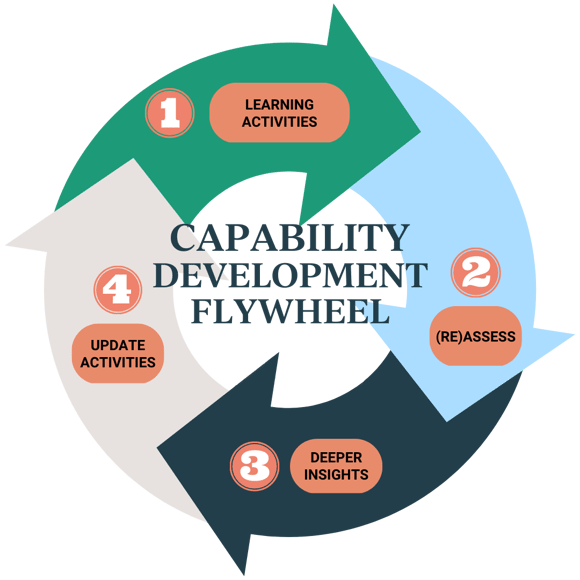 Capability Development Flywheel -1000W-clear