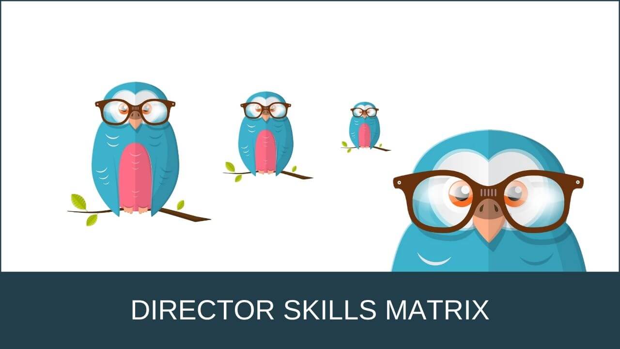 DIRECTOR SKILLS MATRIX blue DIRECTOR SKILLS MATRIX blue