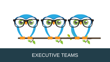 Executive Team Owl