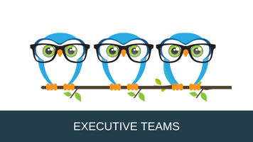 Executive Team Owl Executive Team Owl