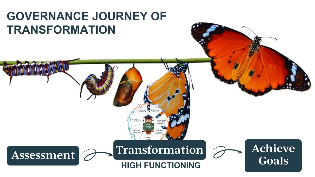 Governance Journey of Transformation