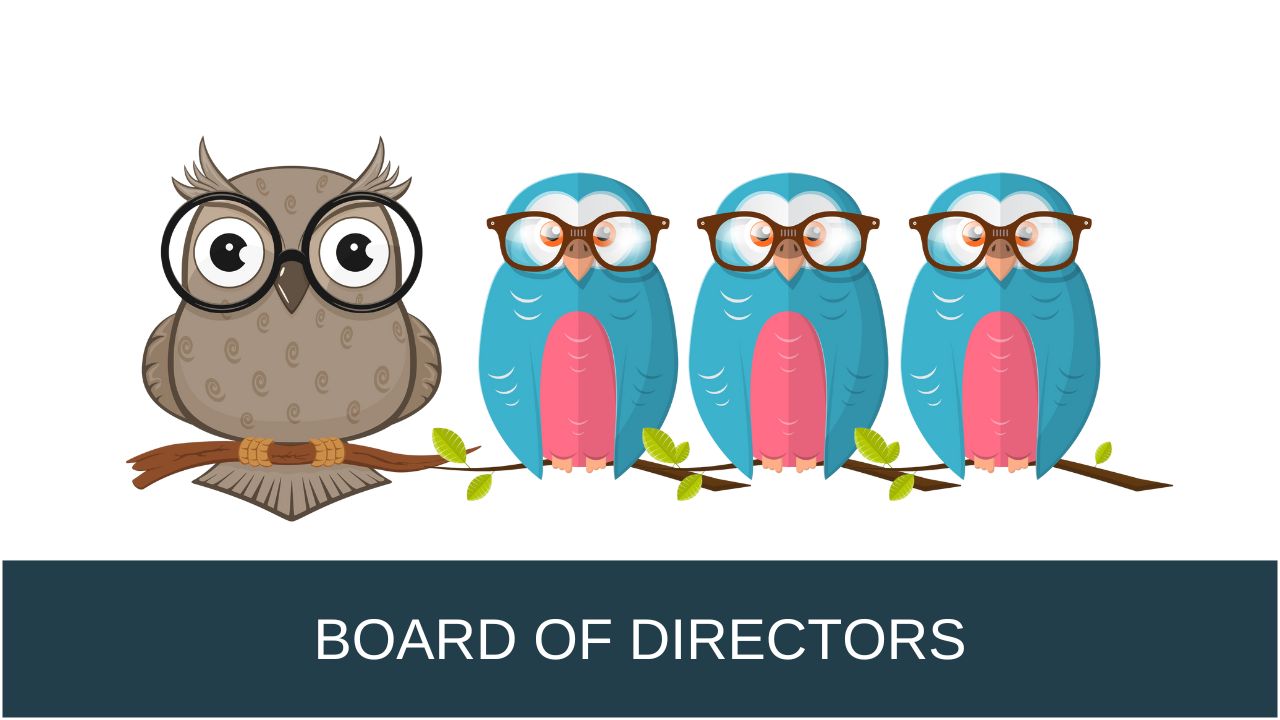 Human Services Board of Directors Governance Team