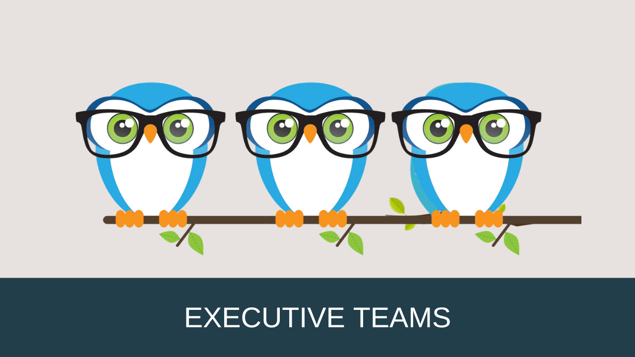 Executive-TeamOwl-grey
