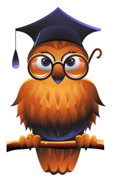 expert governance owl
